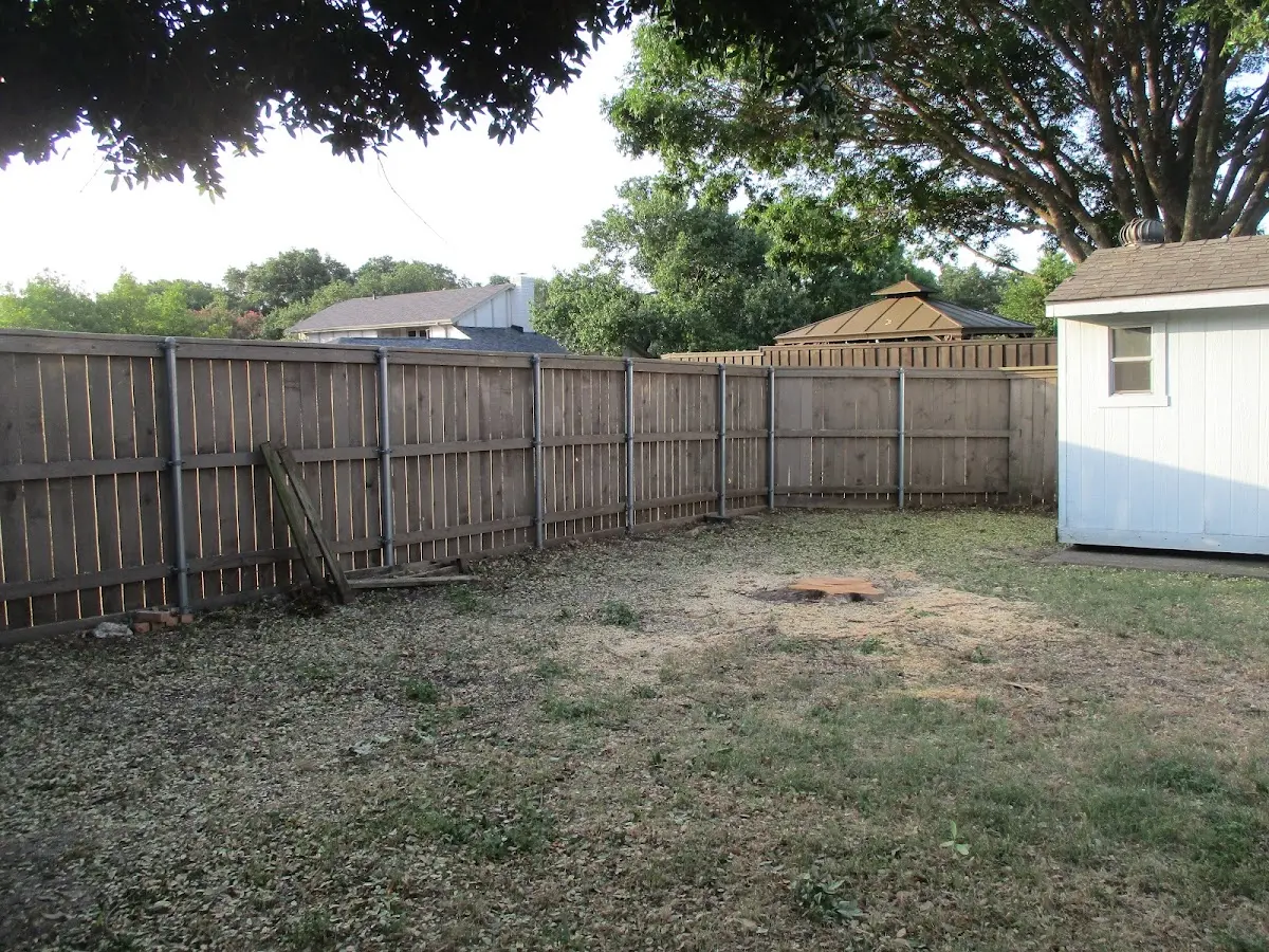 Cleared yard after professional tree removal in Hanna City