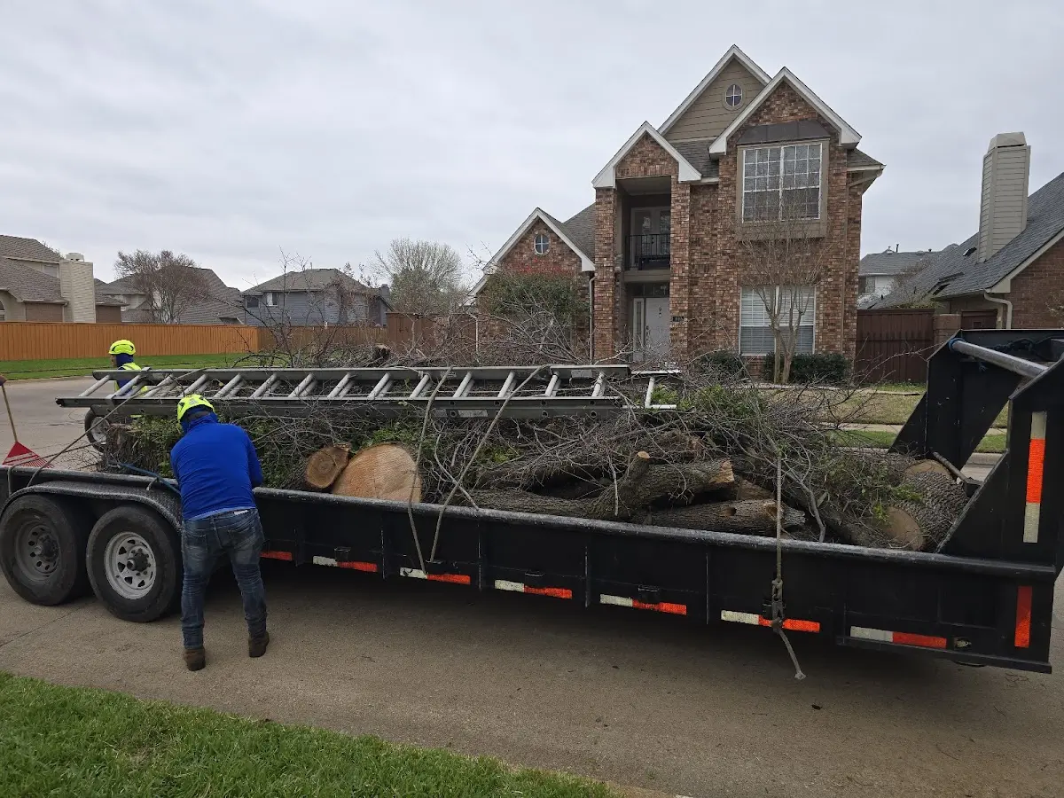 Expert Tree Removal with proper safety equipment in Hanna City